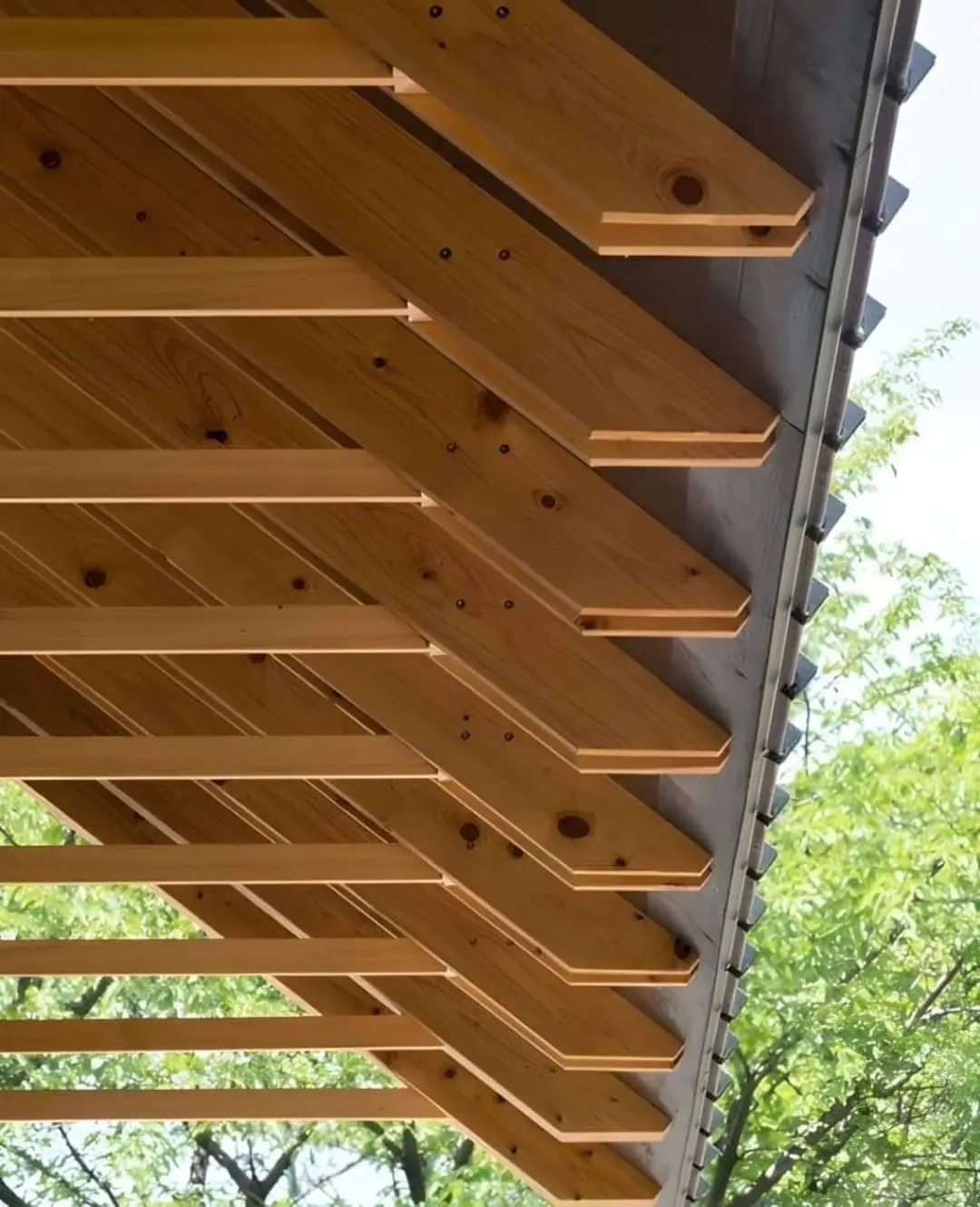 Cedar pergola rafter detail